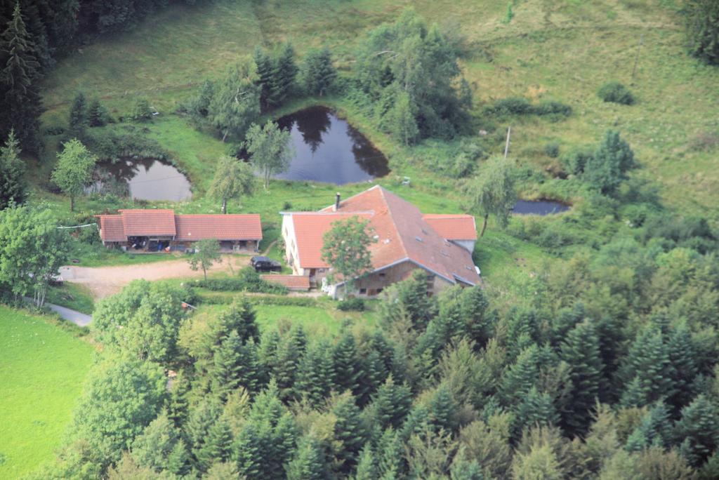 Gites De La Racine Girmont-Val-d'Ajol Exterior photo